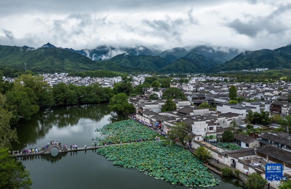 鸿运高手论坛